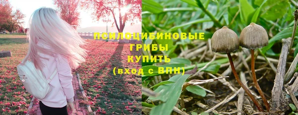 мескалин Бородино