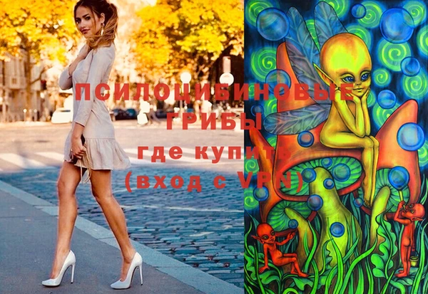 гашик Бронницы