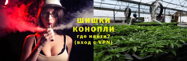 гашик Бронницы