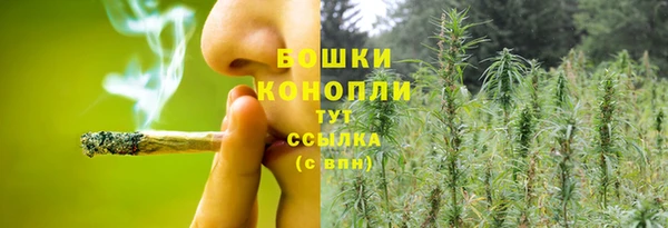 гашик Бронницы